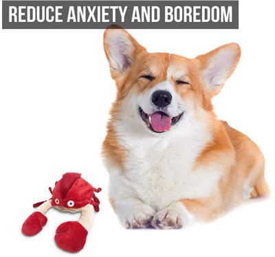 Hyper Pet™ Doggie Pal Crab Interactive Vibrating Dog Toy