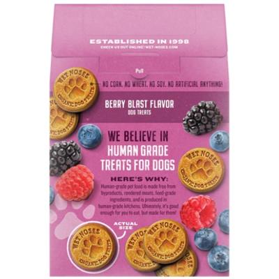 Grain Free Berry Blast Treats 14oz