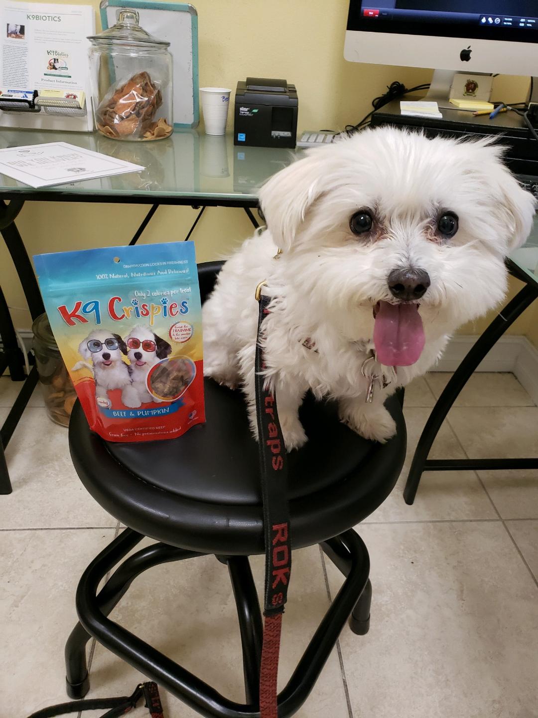 K9 Crisps Chicken Chips 16oz Resealable Bag