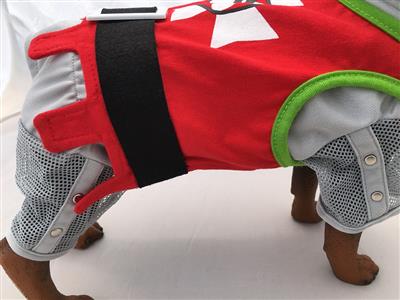 Sir Barks-A-Lot Costume