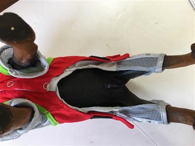 Sir Barks-A-Lot Costume