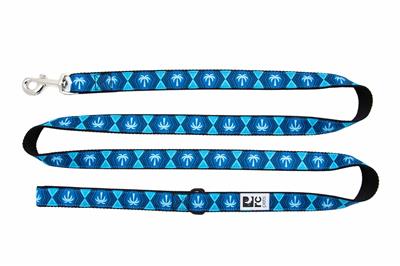 Collars & Leads - Palm