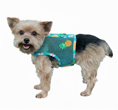 Cool Mesh Dog Harness with Leash - Pineapple Luau