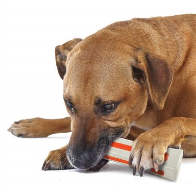 Petstages Beyond Bone Dog Toy - 4 Sizes (While Supplies Last) 