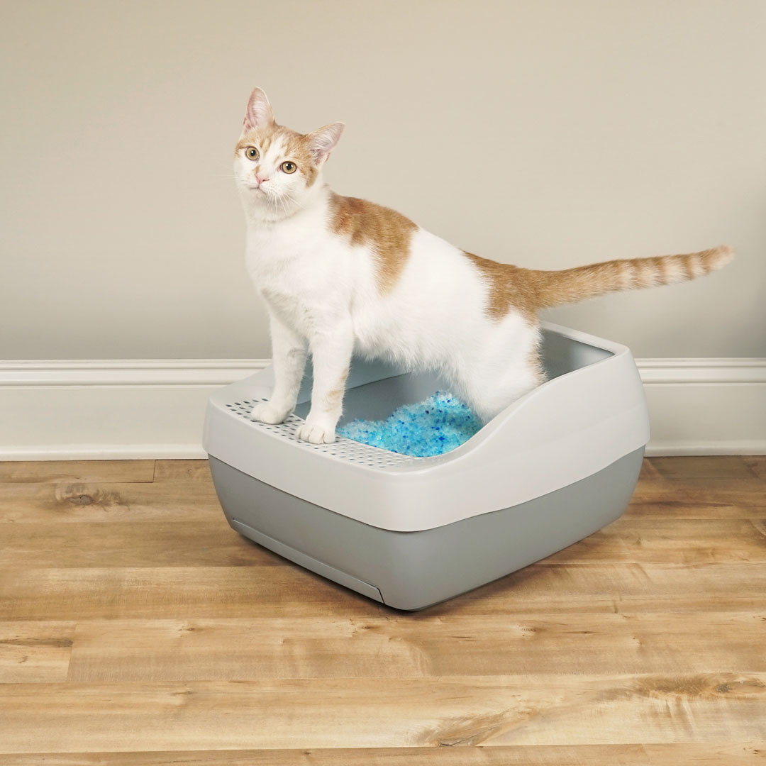 Deluxe Crystal Litter Box System