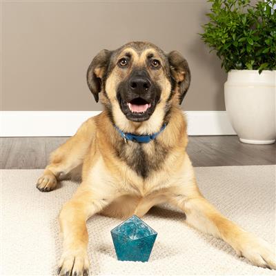 Busy Buddy Jewel Pop