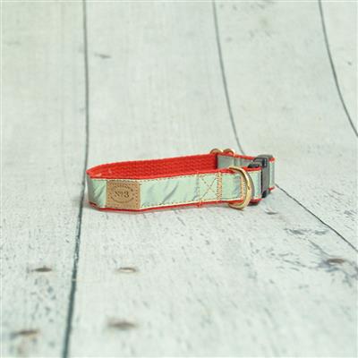 1" Red Reflective Collars and Leads