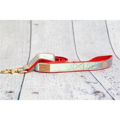 1" Red Reflective Collars and Leads