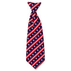 Bias Stars and Stripes Neck Tie