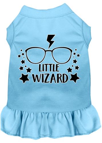 Little Wizard Screen Print Dress