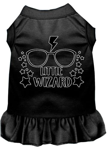 Little Wizard Screen Print Dress