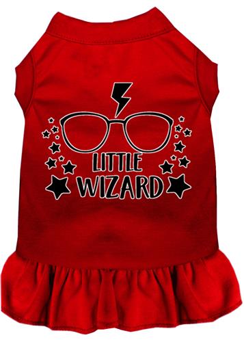 Little Wizard Screen Print Dress