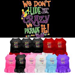 We Don't Hide Crazy Screen Print Dress