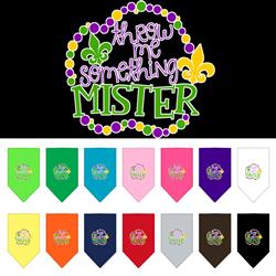 Throw Me Something Screen Print Pet Bandana
