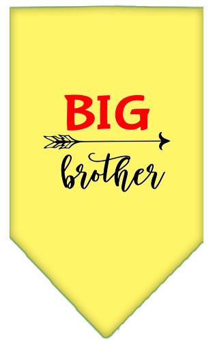 Big Brother Screen Print Pet Bandana