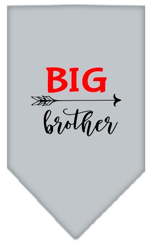 Big Brother Screen Print Pet Bandana