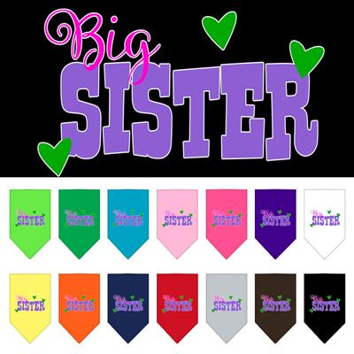 Big Sister Screen Print Pet Bandana