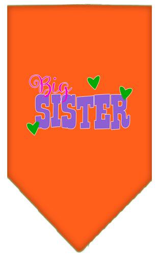 Big Sister Screen Print Pet Bandana
