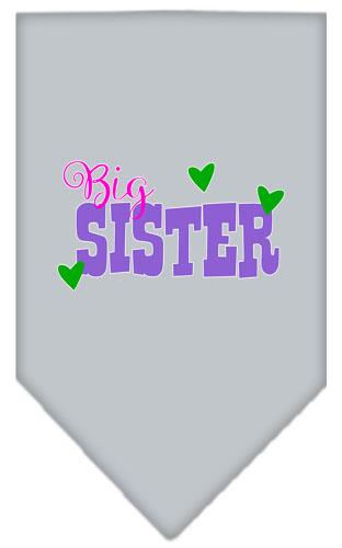 Big Sister Screen Print Pet Bandana