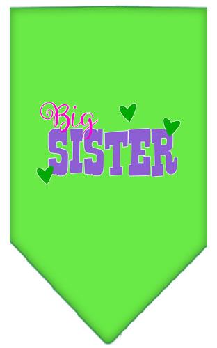 Big Sister Screen Print Pet Bandana