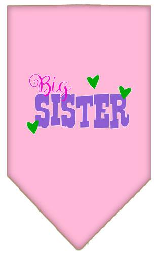 Big Sister Screen Print Pet Bandana