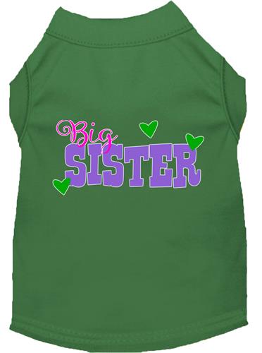 Big Sister Screen Print Dog Shirt