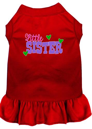 Little Sister Screen Print Dress
