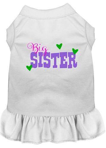 Big Sister Screen Print Dress