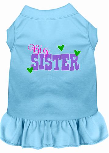 Big Sister Screen Print Dress