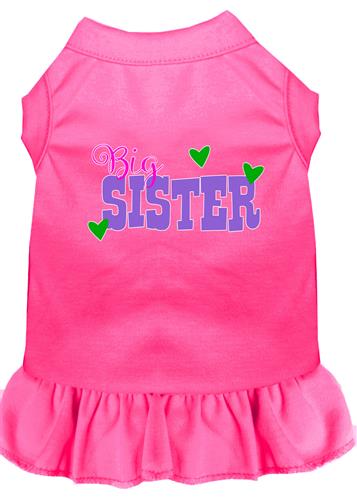 Big Sister Screen Print Dress