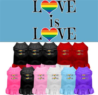 Love Is Love Screen Print Dress