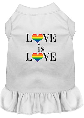 Love Is Love Screen Print Dress