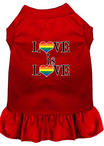 Love Is Love Screen Print Dress