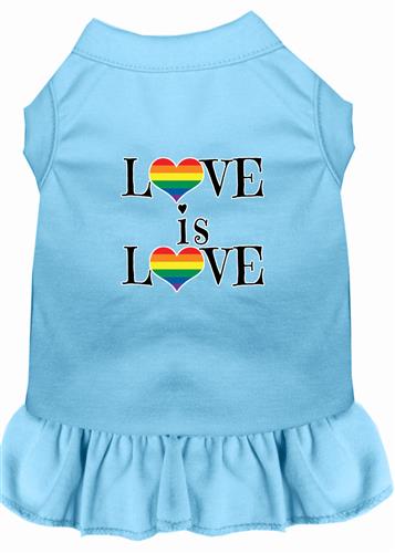 Love Is Love Screen Print Dress