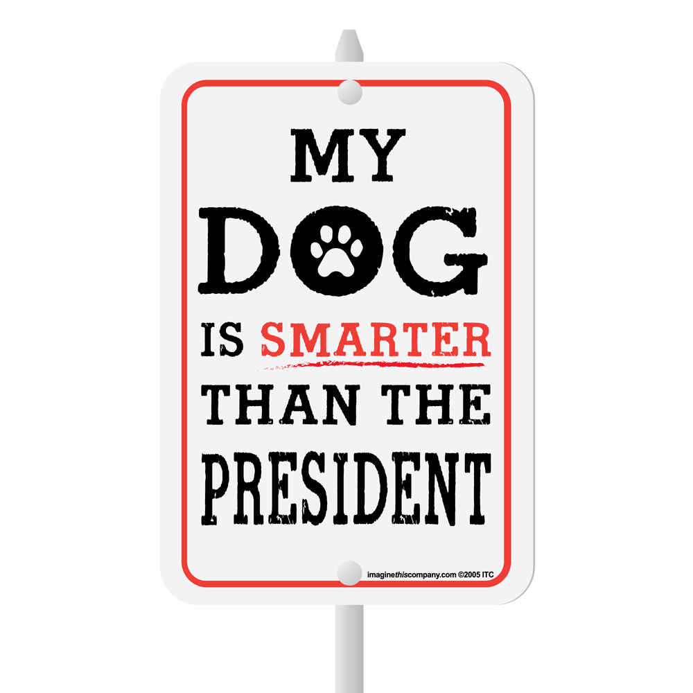 thumbnail image 2 of My Korat Cat Smarter Than President Anti Joe Biden T Shirts Sold By 2 of 12