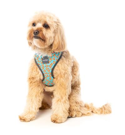 Pizza Lyf - Dog Harness