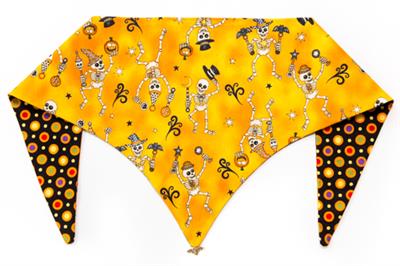 Dancing with the Stars ArfScarf