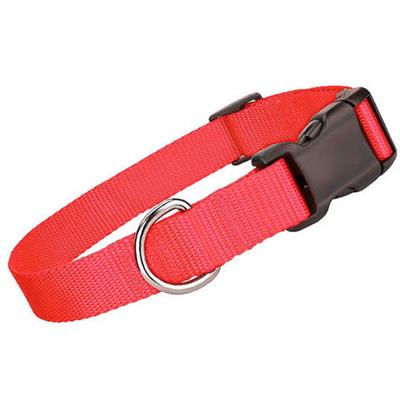 Red Nylon Collars / Leash