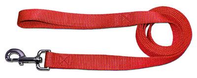 Red Nylon Collars / Leash