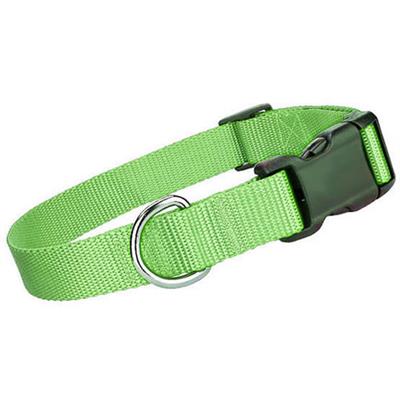 Green Nylon Collars / Leash