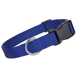 Extra Product Image
