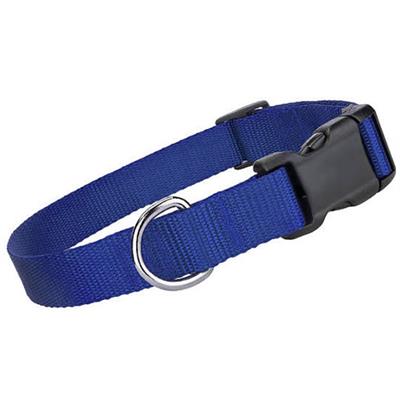 Blue Nylon Collars / Leash