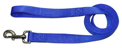 Blue Nylon Collars / Leash