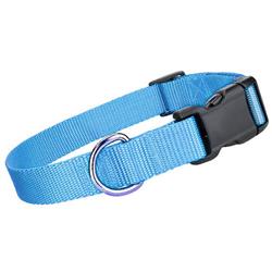 Light Blue Nylon Collars / Leash
