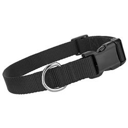 Black Nylon Collars / Leash