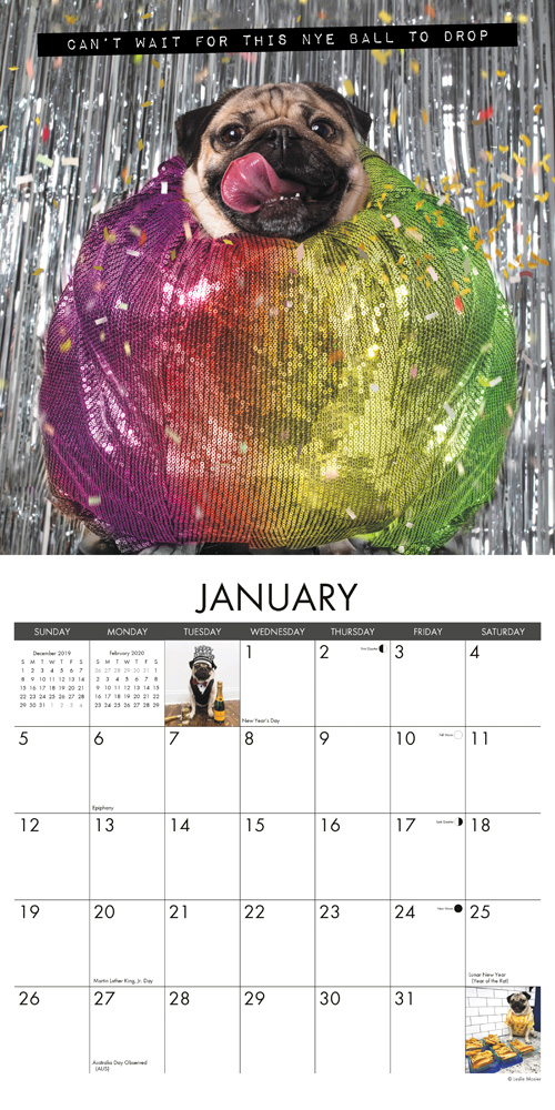 Doug The Pug 2020 Wall Calendar