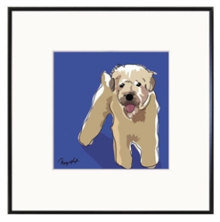 Framed Print: Wheaten Terrier
