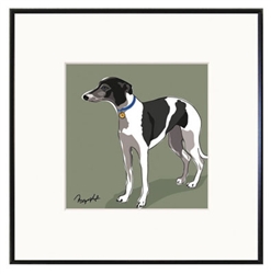 Framed Print: Whippet