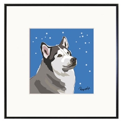Framed Print: Husky