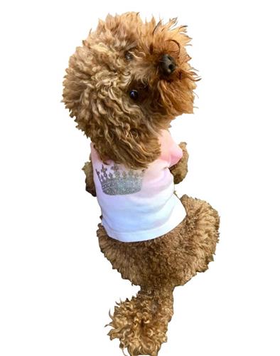 Dippy Crown tee, Pink